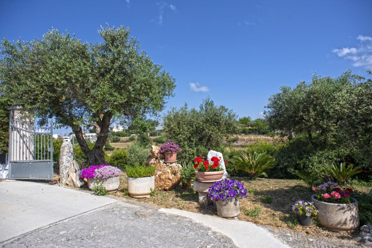 B&B Il Brigante 알베르벨로 외부 사진